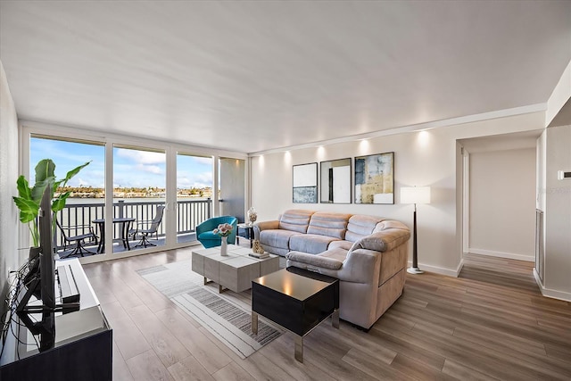 living room featuring hardwood / wood-style floors