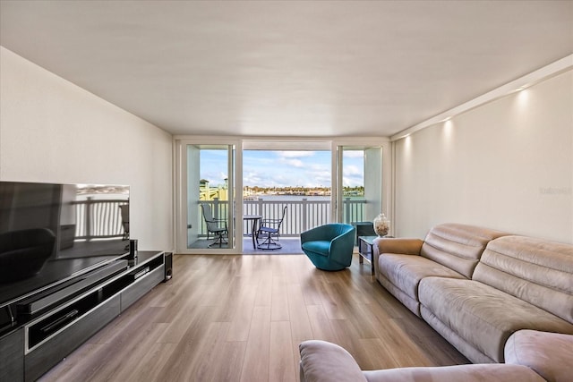 living room with a wall of windows and light wood-type flooring