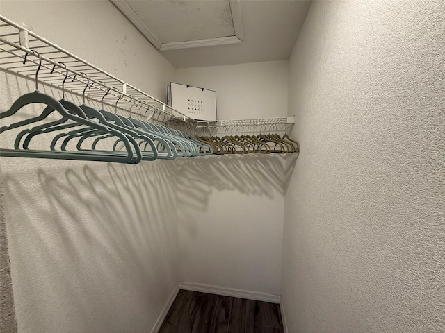 spacious closet featuring wood-type flooring