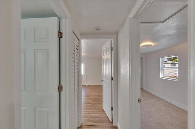 hallway featuring light wood-type flooring and a textured ceiling