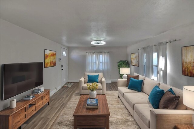 living room featuring hardwood / wood-style flooring