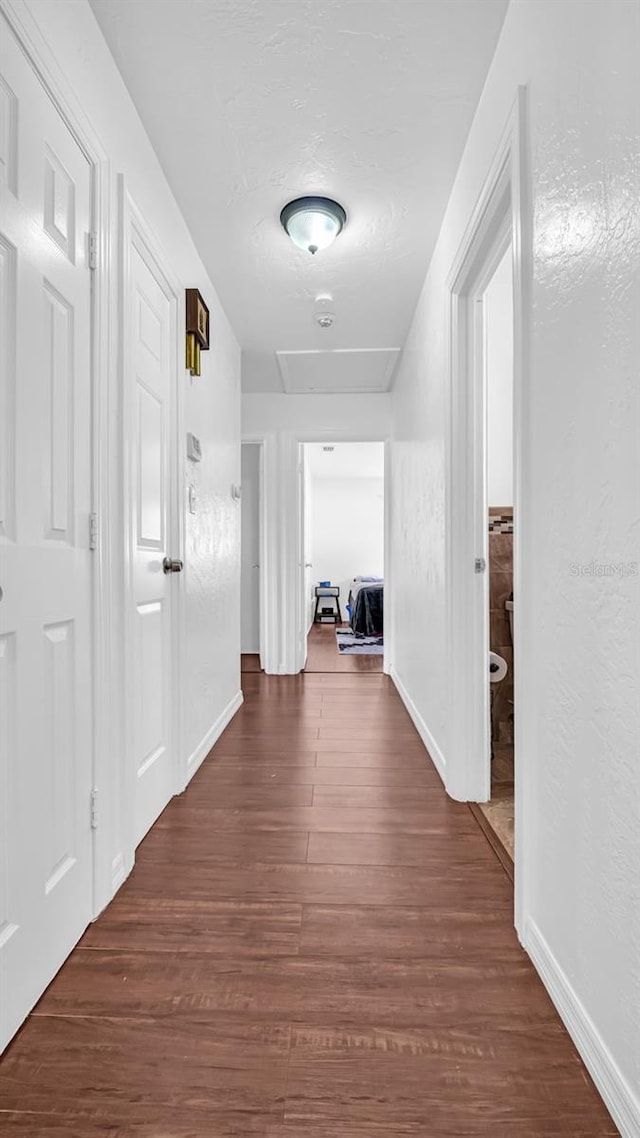 hallway featuring dark wood-type flooring