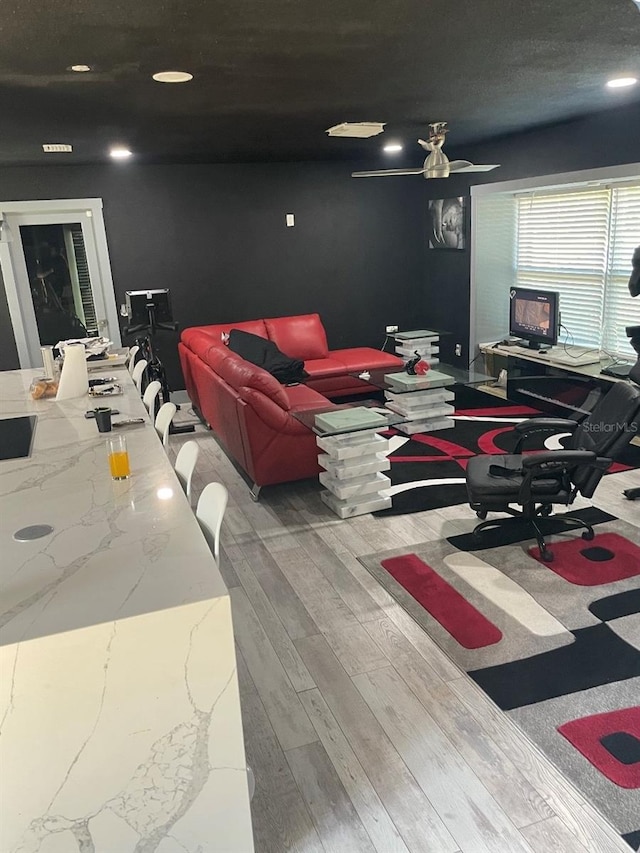 living room featuring wood-type flooring