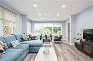 living room featuring light hardwood / wood-style floors