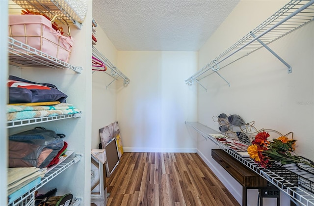 spacious closet featuring dark wood-type flooring