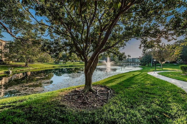 view of community featuring a lawn and a water view