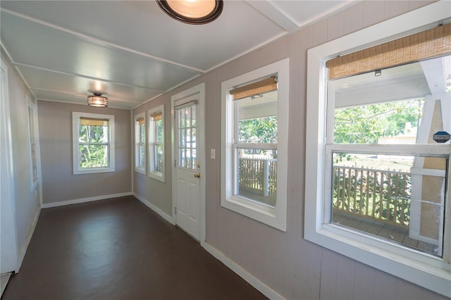 doorway featuring dark hardwood / wood-style floors and wood walls