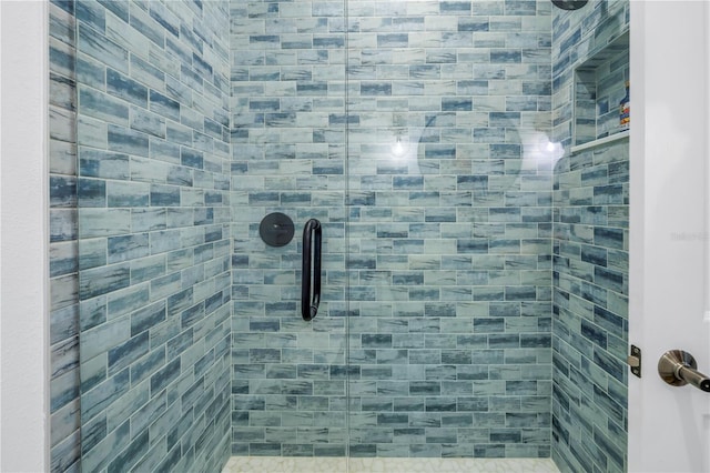 interior details featuring walk in shower