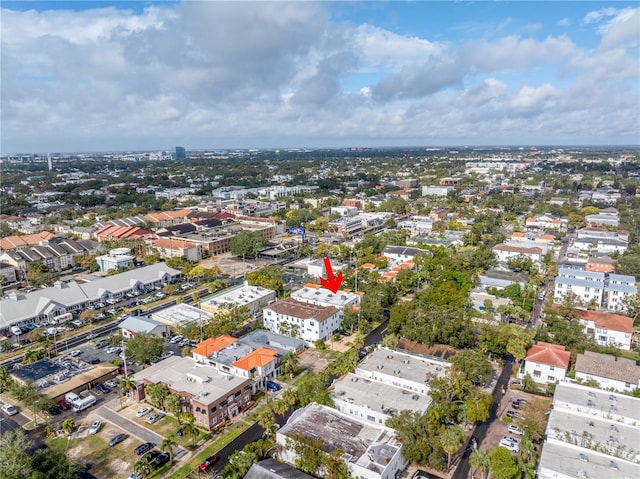 bird's eye view