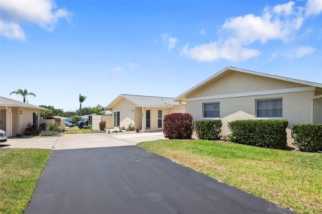 2740 Highlands Blvd Unit D, Palm Harbor, FL 34684 - single story home featuring stucco siding, driveway, and a front yard