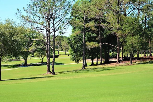 view of property's community with a yard