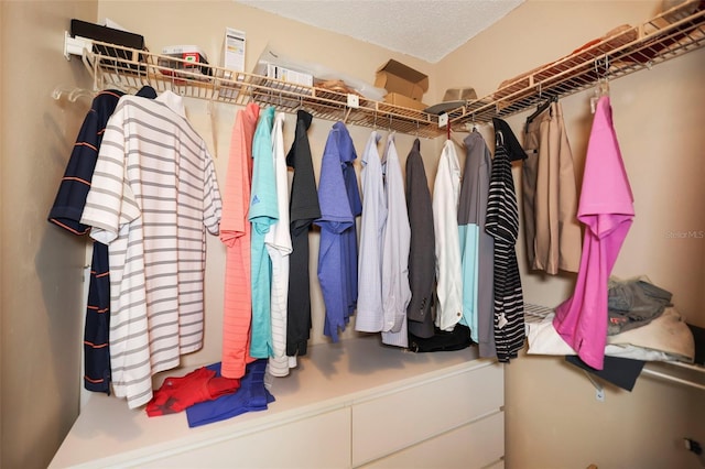 2740 Highlands Blvd Unit D, Palm Harbor, FL 34684 - view of walk in closet