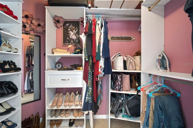 view of spacious closet