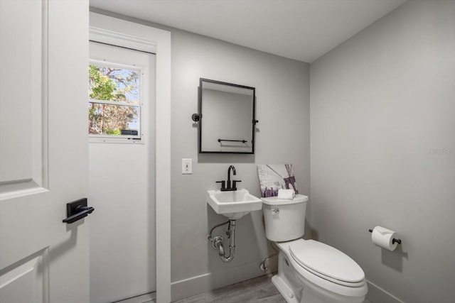 bathroom featuring hardwood / wood-style flooring, toilet, and sink