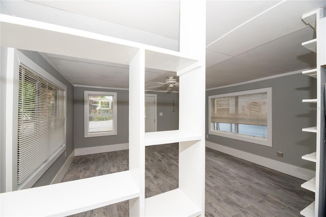 interior space with ceiling fan, wood-type flooring, and crown molding