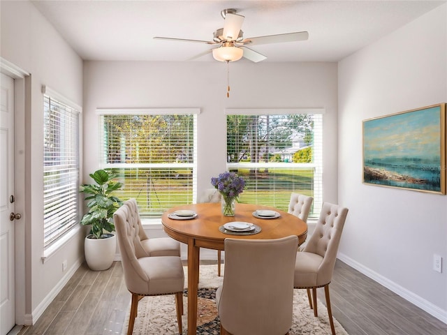 dining room featuring ceiling fan, hardwood / wood-style floors, and a healthy amount of sunlight