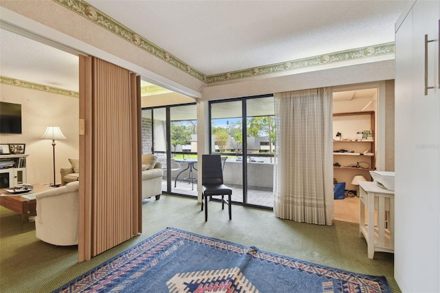 carpeted bedroom with access to exterior and a textured ceiling