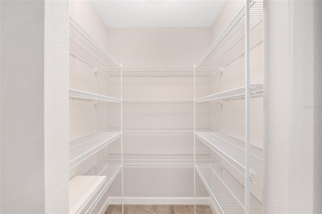5421 N Nakoma Dr, Beverly Hills, FL 34465 - view of storage area