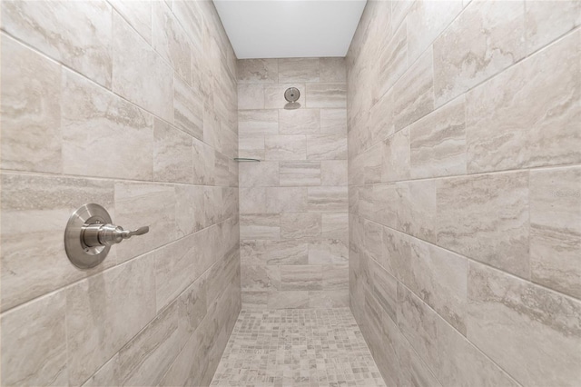 5421 N Nakoma Dr, Beverly Hills, FL 34465 - bathroom with tiled shower