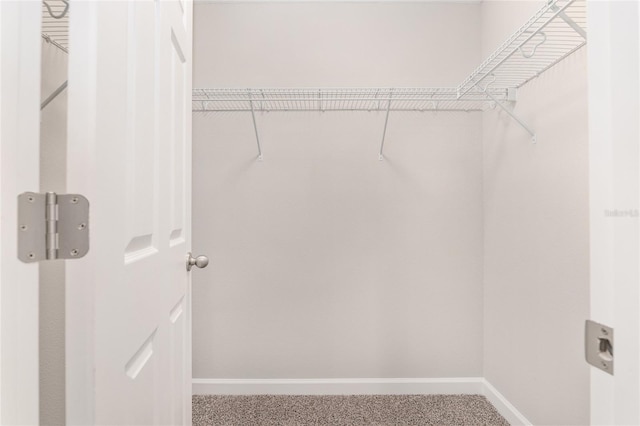 5421 N Nakoma Dr, Beverly Hills, FL 34465 - spacious closet with carpet floors