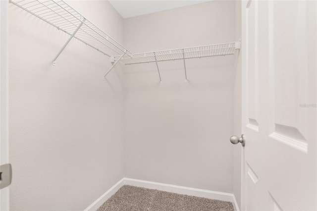 spacious closet with carpet floors