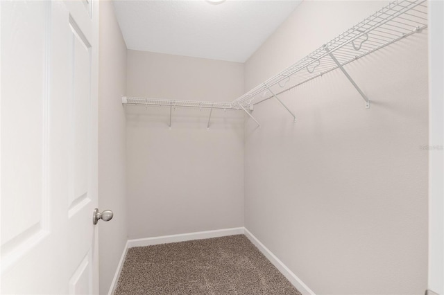 walk in closet with carpet