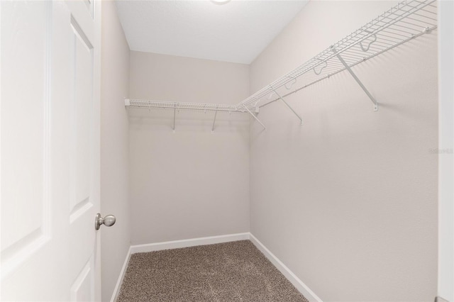 5421 N Nakoma Dr, Beverly Hills, FL 34465 - walk in closet with carpet floors