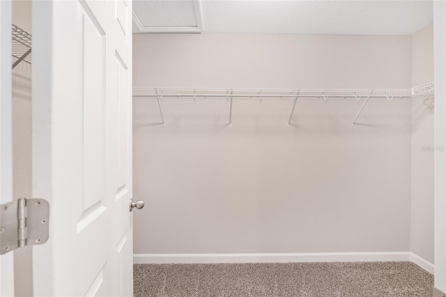 5421 N Nakoma Dr, Beverly Hills, FL 34465 - spacious closet with carpet flooring