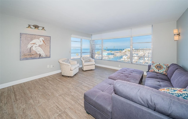 living room with a water view and wood-type flooring