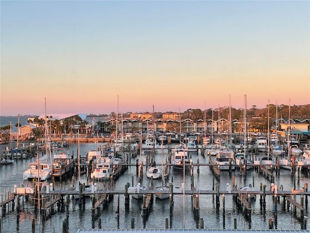 dock area featuring a water view