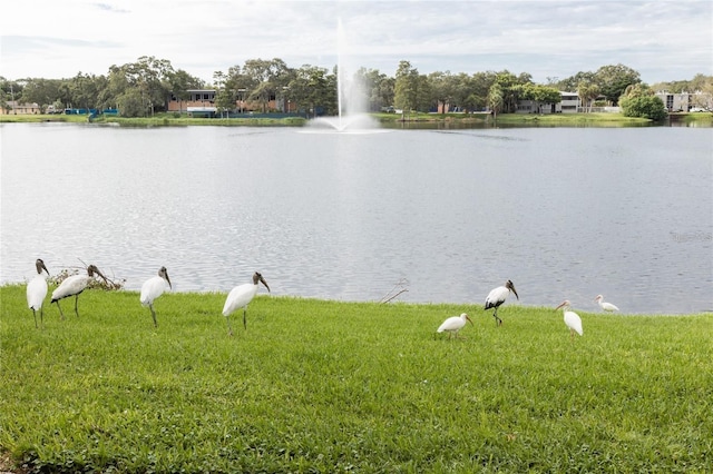 view of water feature