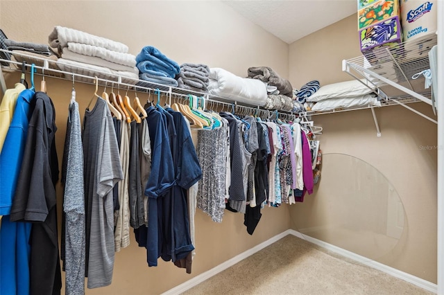 walk in closet with carpet flooring