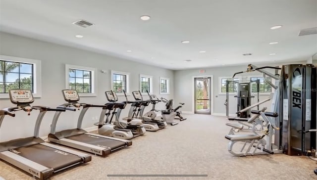 exercise room featuring a wealth of natural light and carpet