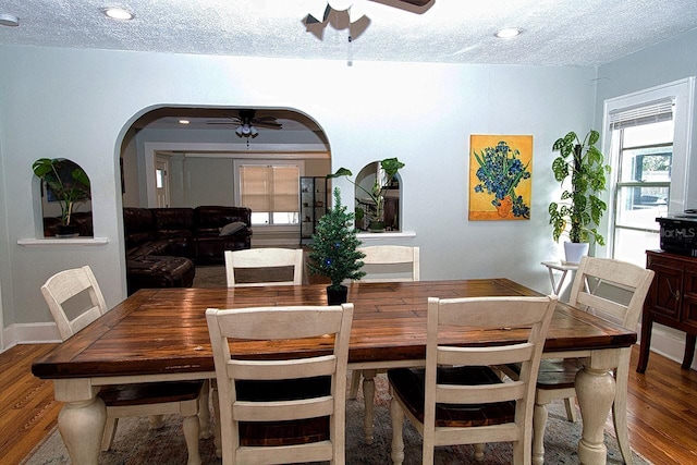 dining area with ceiling fan, wood-type flooring, and a textured ceiling