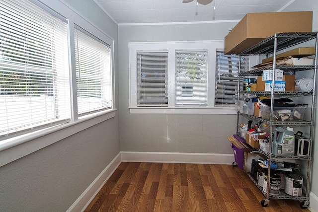 storage area with ceiling fan