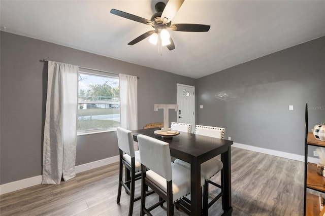 dining space with hardwood / wood-style floors and ceiling fan