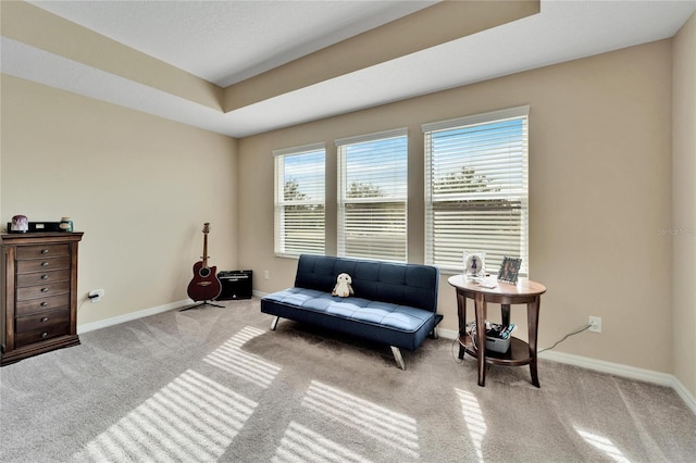 living area featuring a tray ceiling and light colored carpet