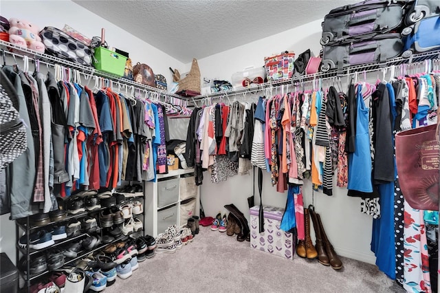 spacious closet featuring carpet