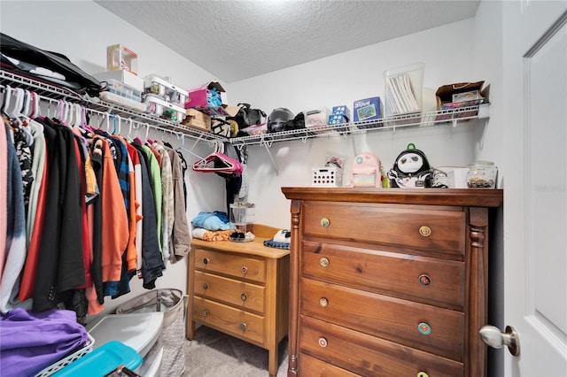 walk in closet featuring carpet flooring