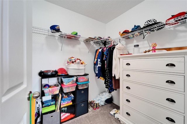 spacious closet with carpet flooring