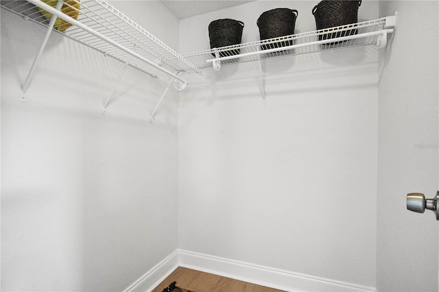 walk in closet featuring wood-type flooring