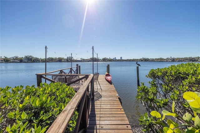 dock area with a water view