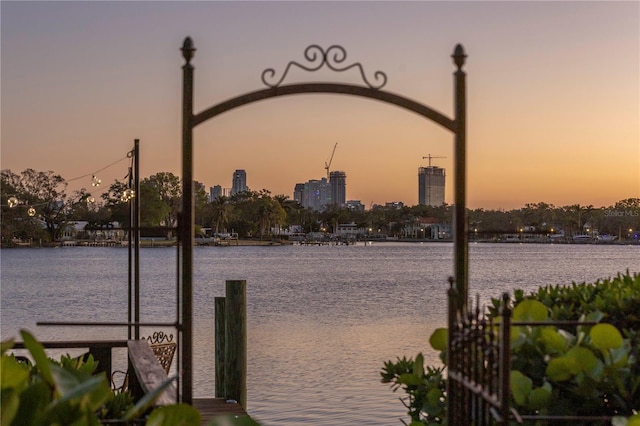 dock area with a water view