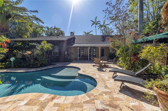 view of swimming pool featuring a patio