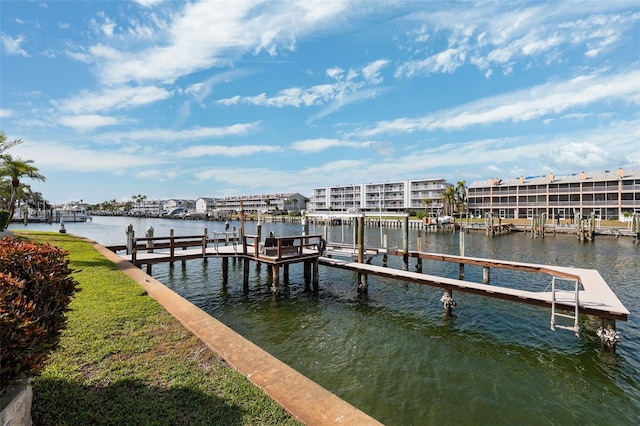 dock area with a water view