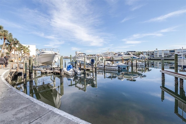 dock area with a water view