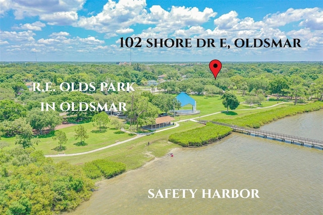 102 Shore Dr E, Oldsmar, FL 34677 - drone / aerial view of a large body of water