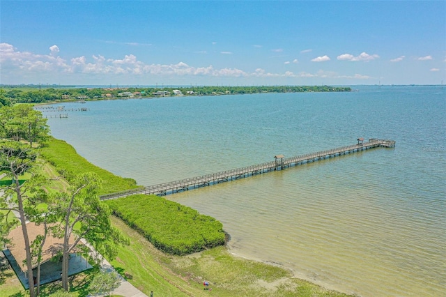102 Shore Dr E, Oldsmar, FL 34677 - water view