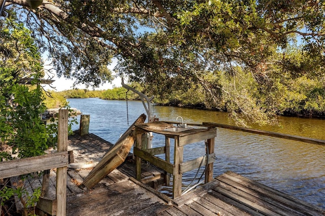 dock area with a water view