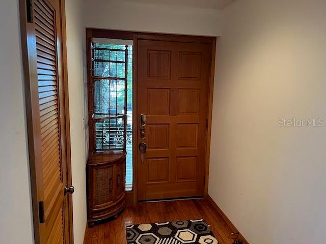 foyer featuring dark wood-type flooring